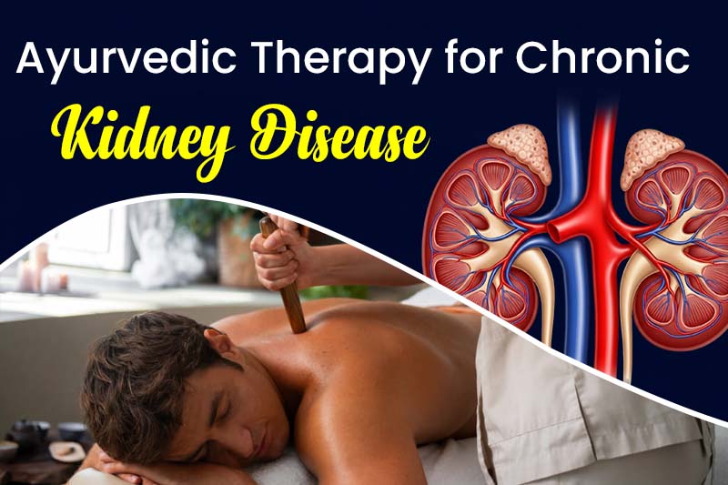 Ayurvedic Therapy for Chronic Kidney Disease